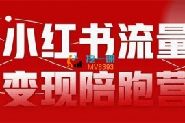 盗坤《小红书流量变现陪跑营第8期》