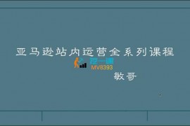 敏哥《亚马逊站内运营全系列课程》