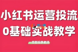 一觉智投李老师《小红书付费投流实战课程》