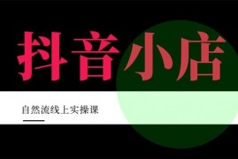 顽石电商《抖店自然流线上实操课》