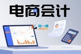 桔梗《电商做账报税会计课程》