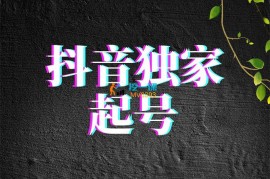 豪哥《抖音独家起号》