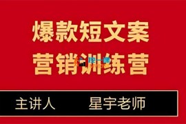 星宇《爆款营销文案训练营》