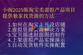 小淘《淘宝卖虚拟产品项目2025版》