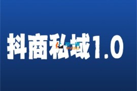 团团《抖商服务私域1.0》