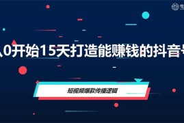 电商大参《从0开始15天打造能赚钱的抖音号》