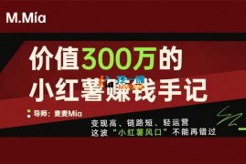 麦麦《价值300万的小红书赚钱手记》