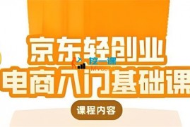 畅畅《京东轻创业电商入门基础课》