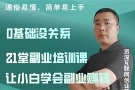 张磊《21堂副业培训课》