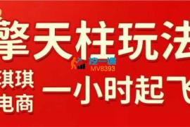 琪琪电商《拼多多擎天柱玩法1.0》