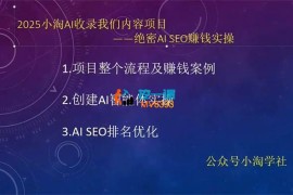 小淘《AI绝密SEO赚钱实操》