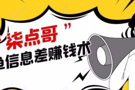 柒点哥：闲鱼项目手把手教你信息差赚钱术