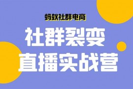 蚂蚁社群电商《社群裂变直播实战营》