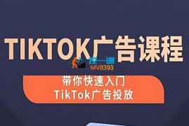 梦合出海《TikTok广告投放课程》