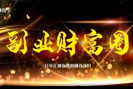 阿拉丁《副业财富圈》