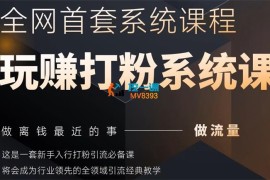 甲乙粉圈社《玩赚打粉系统课》