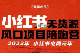 佩佩《小红书无货源项目陪跑营》