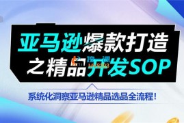 Miss胡《亚马逊爆款打造之精品开发SOP》