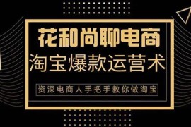 淘宝爆款运营术 资深电商人手把手教你做淘宝