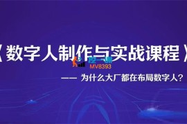 YG《数字人制作与实战课程》