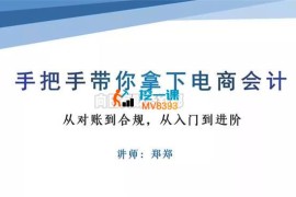 郑郑《拼多多财税实战全流程》