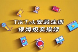 疯人院《TikTok安装注册保姆级实操课》