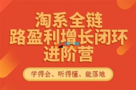 韩维《淘系全链路盈利增长闭环进阶营》