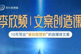 李欣频《文案创造课》