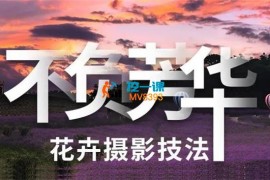 葛宏军《花卉摄影技法完全宝典后期》