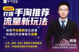 牛气学堂《打爆手淘推荐流量新玩法》