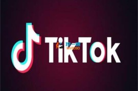 十三《TikTok虚拟资源变现》