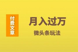  祖小来《月入过万可复制微头条玩法》