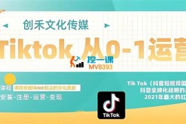 创禾《Tiktok实战从0-1运营教学课程》