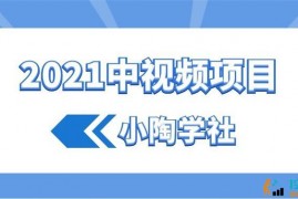 小淘学社《2021中视频项目》