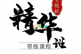 众筹：无极桩精华班