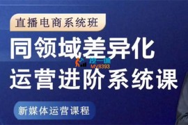 卢鹏《直播电商系统班》