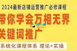 震宇《2024万相无界直引万运营实操4.0升级版》