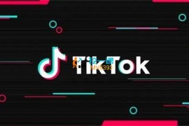 黄老师《Tiktok广告从入门到精通》