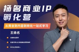 王杨名《商业IP孵化训练营》