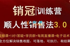 大雄《销冠训练营3.0之顺人性销售法》