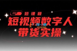牛妈《2025短视频数字人带货实操》