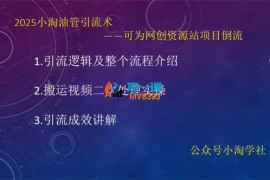 小淘《油管引流术》