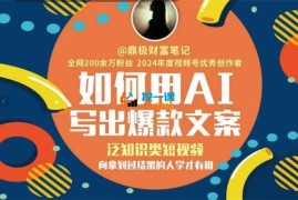 淼心《如何用AI写出高赞文案》