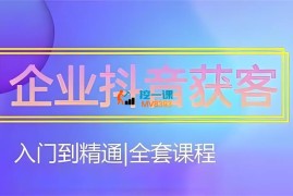 宣龙《企业抖音获客全套课程》