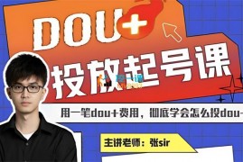 张sir《DOU+抖加投放起号课》