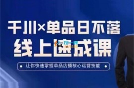 吕承洺《千川单品日不落线上速成课》