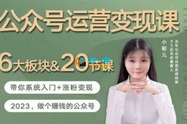 小郁儿《公众号运营变现课》