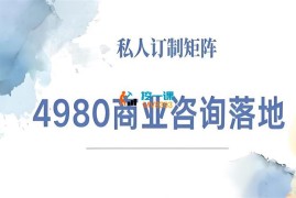 王媛媛《4980商业咨询师落地课程》