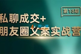 王子冯《私聊成交朋友圈文案实战营18期》