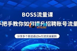 南叔《BOSS专业流量课》